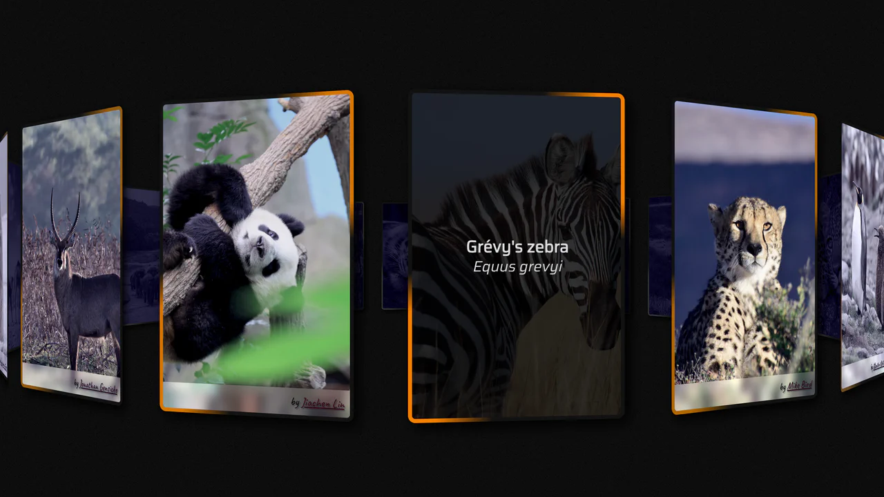 CSS Infinite Scroll Gallery
