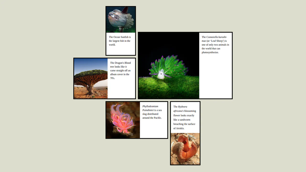 Responsive Front Page Article Layout with CSS Grid