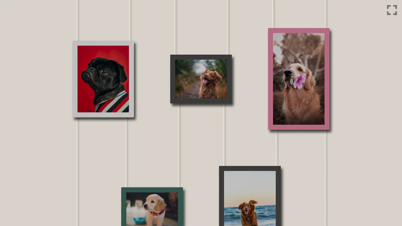 Our Best Friends Gallery Zoom
