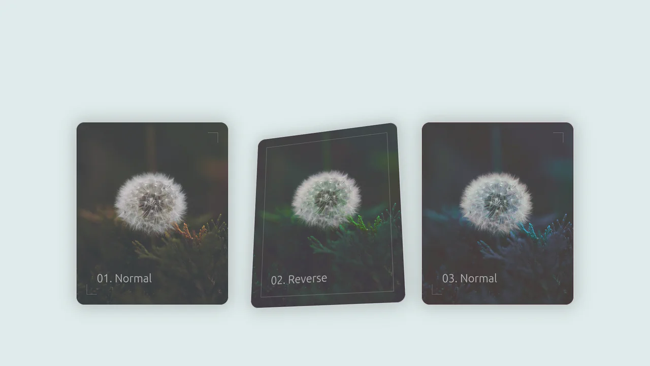 Cards with Parallax Tilt Effect