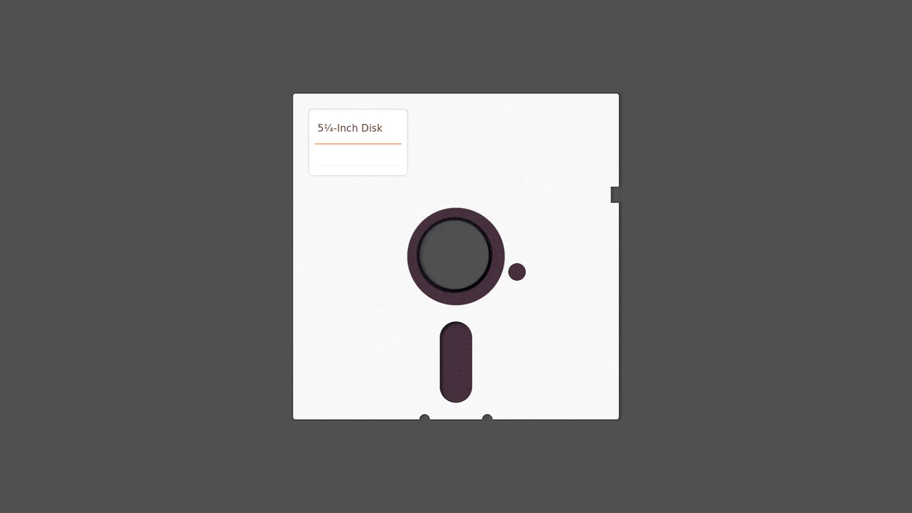 5¼-Inch Floppy Disk