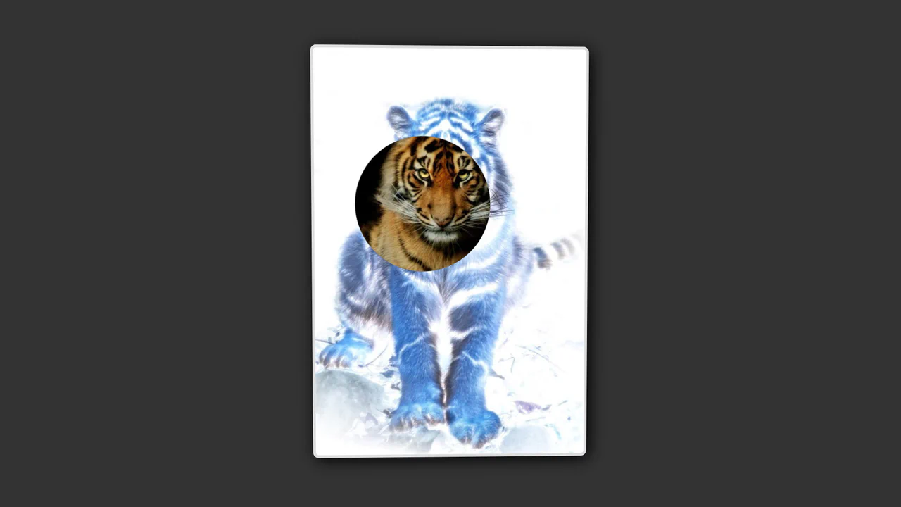 Uninvert Kitty
