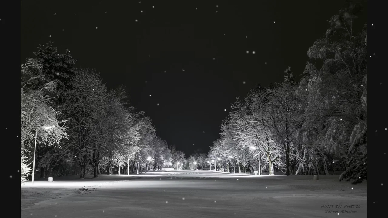 Full-screen animated snowfall effect with dynamically generated SVG snowflakes.