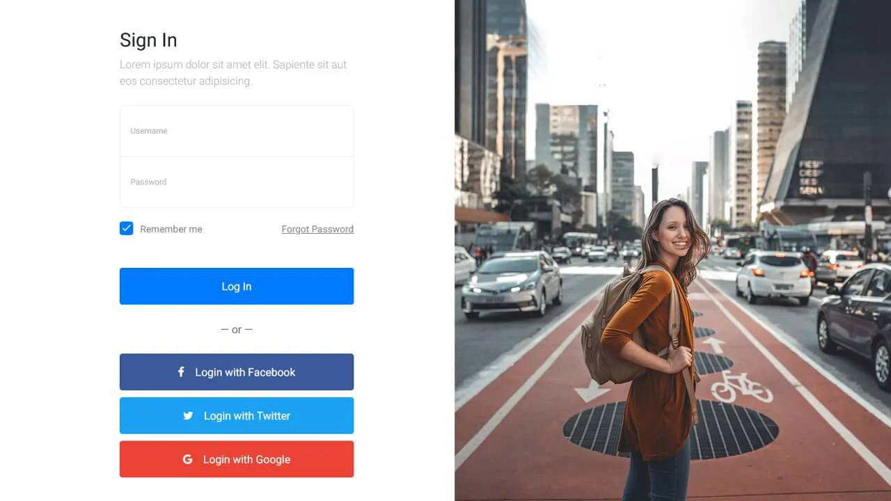 Bootstrap Login Form #6