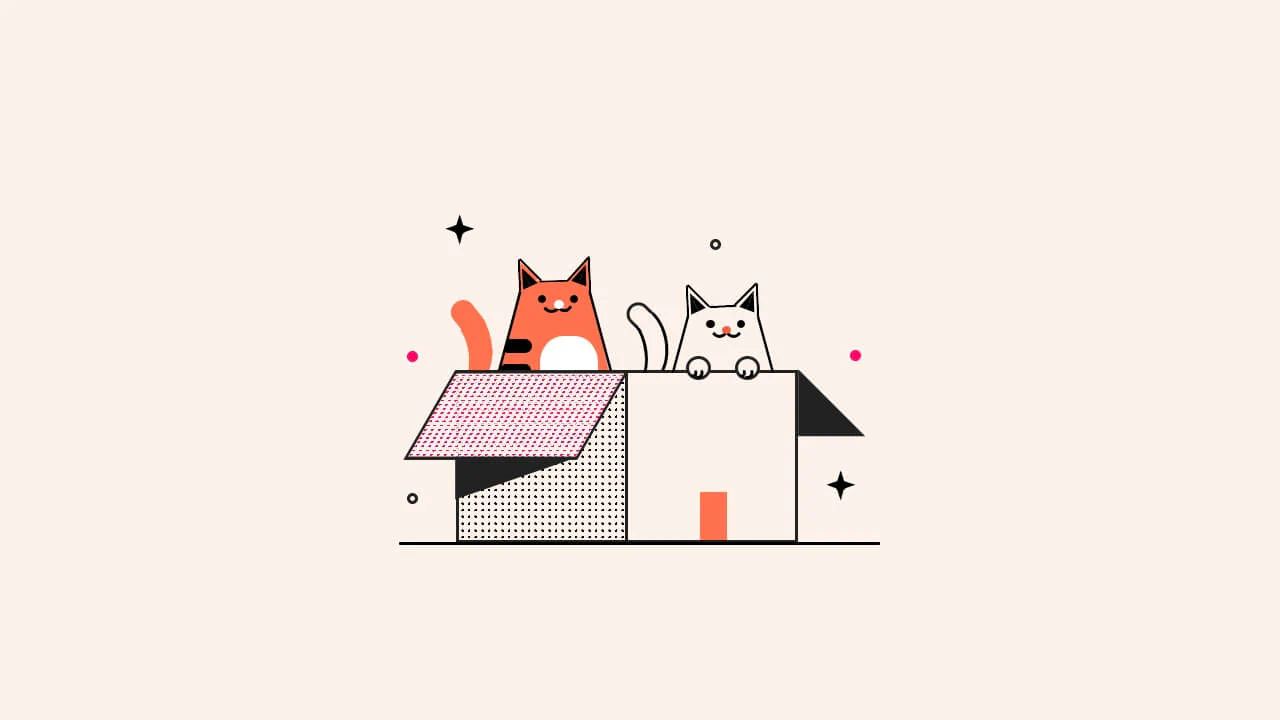 Cats Playing in Box - CSS