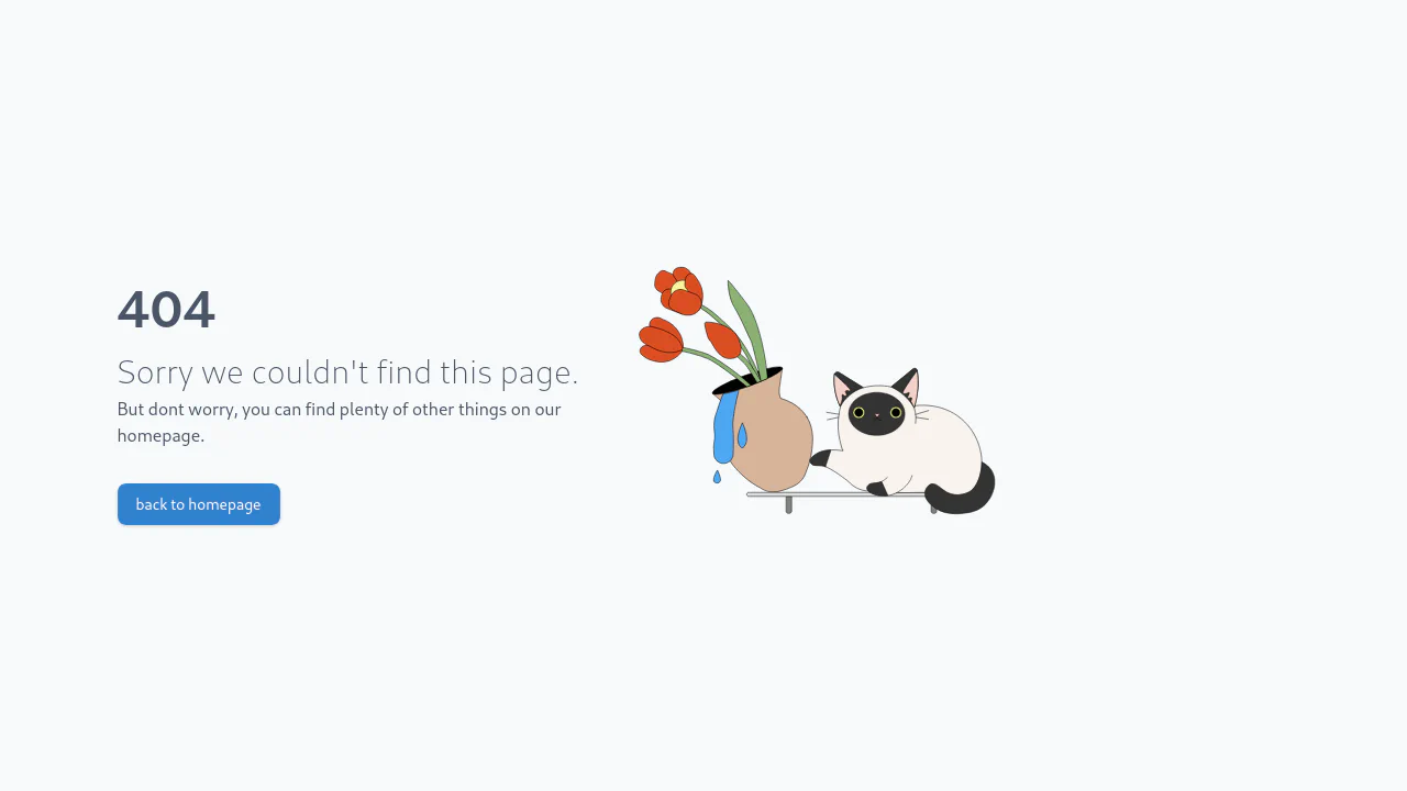 404 Not Found Page