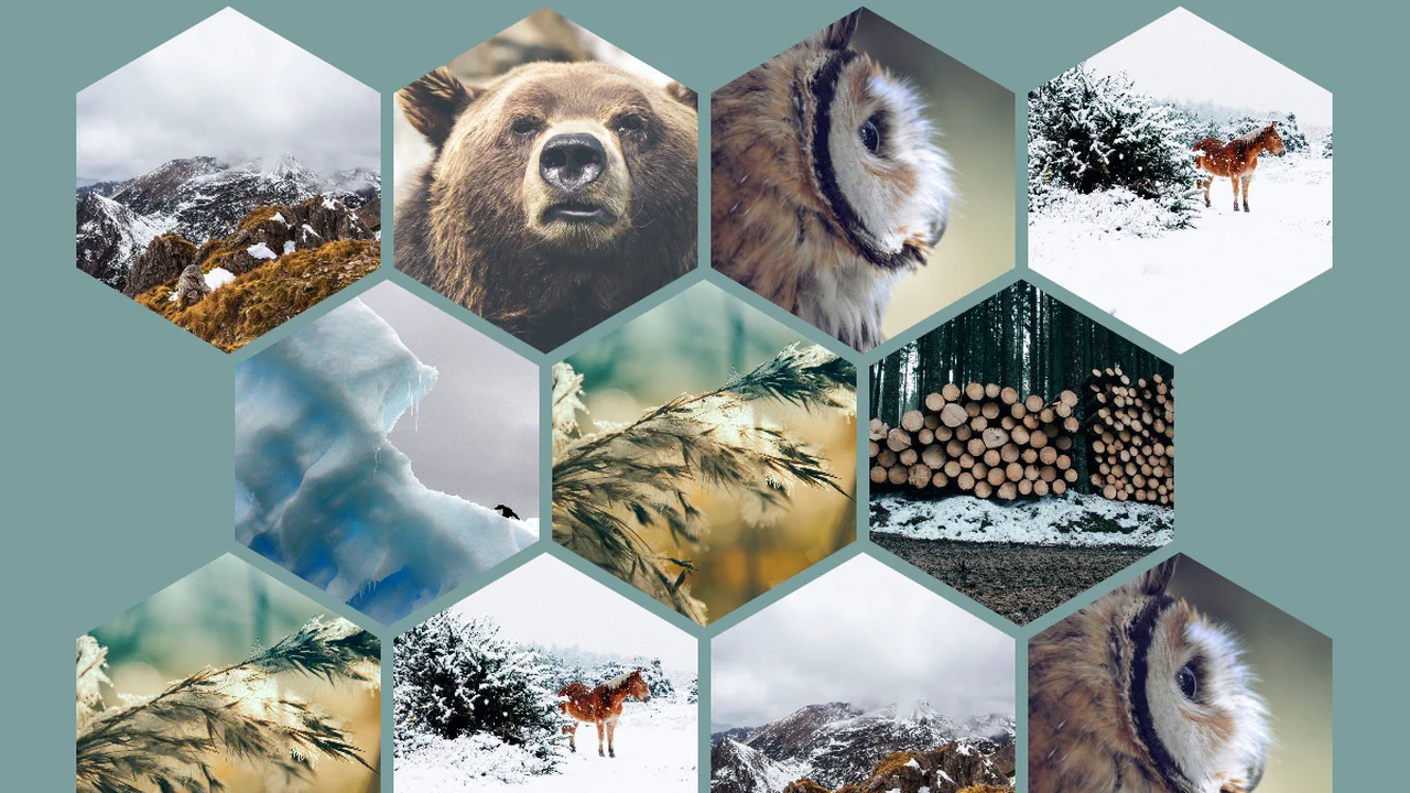 Hexagonal Responsive Grid