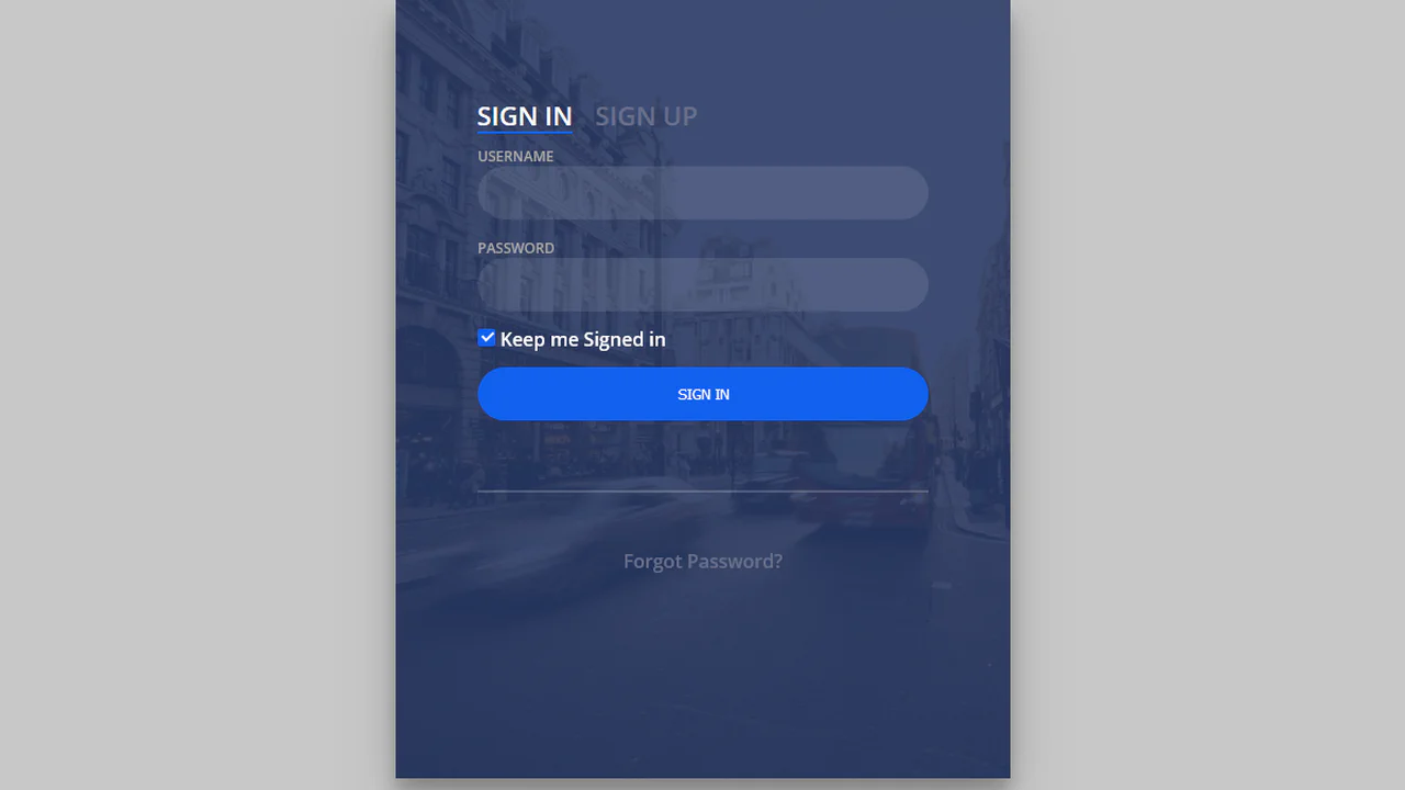 Login Form