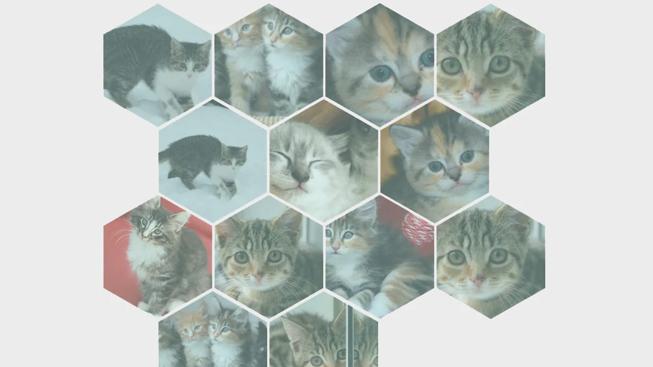 Responsive Hexagonal Grid