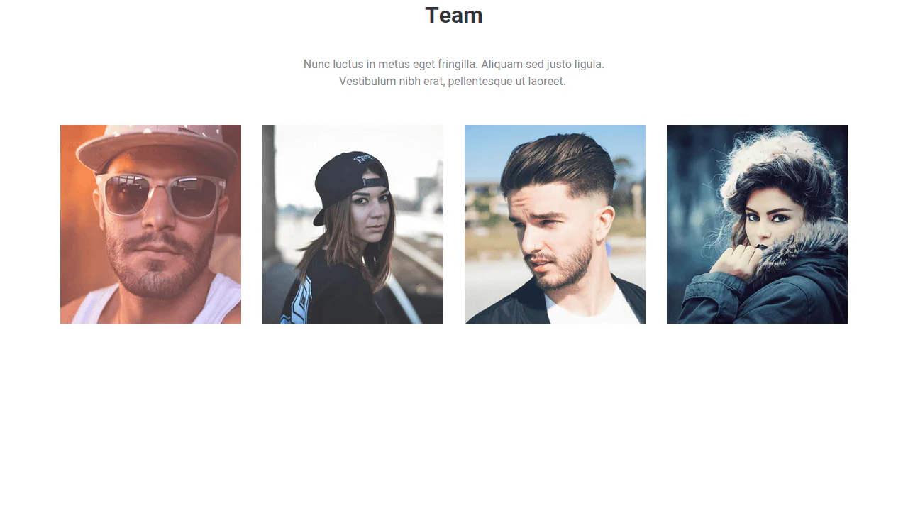 Bootstrap Team Grid