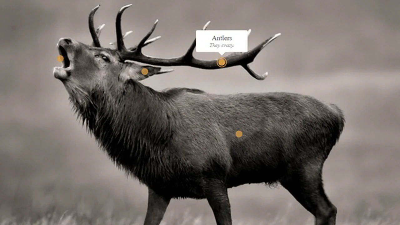 Centered Background Image With Hot Spots