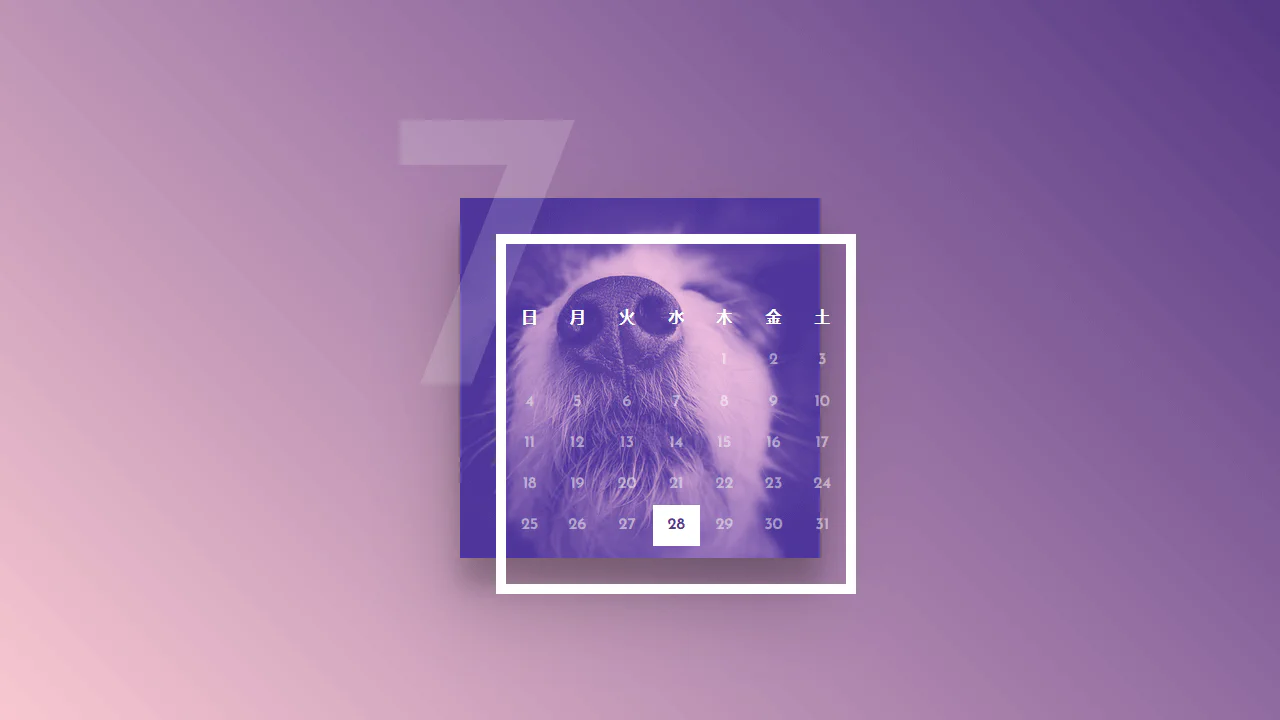 Duotone Calendar