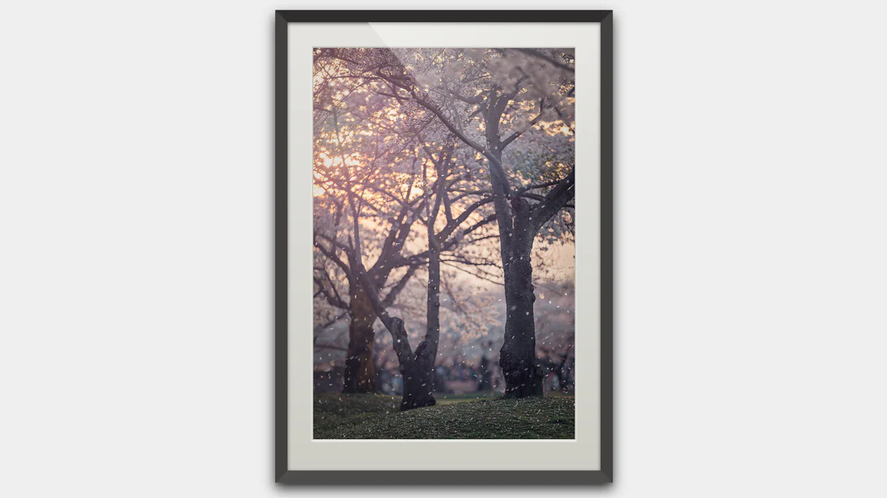Frame