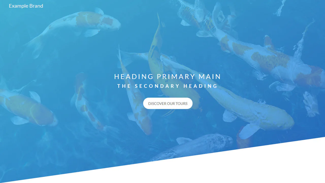 Header for Landing Page