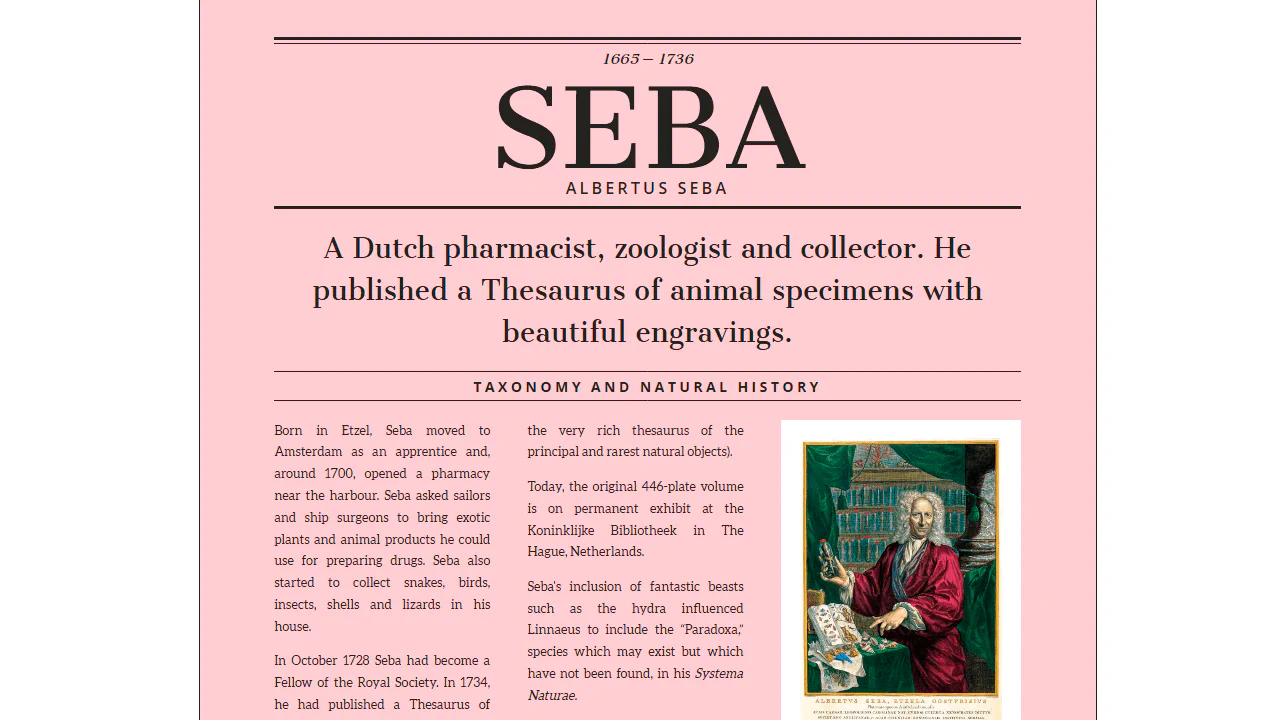 Magazine Grid Layout Vol. II