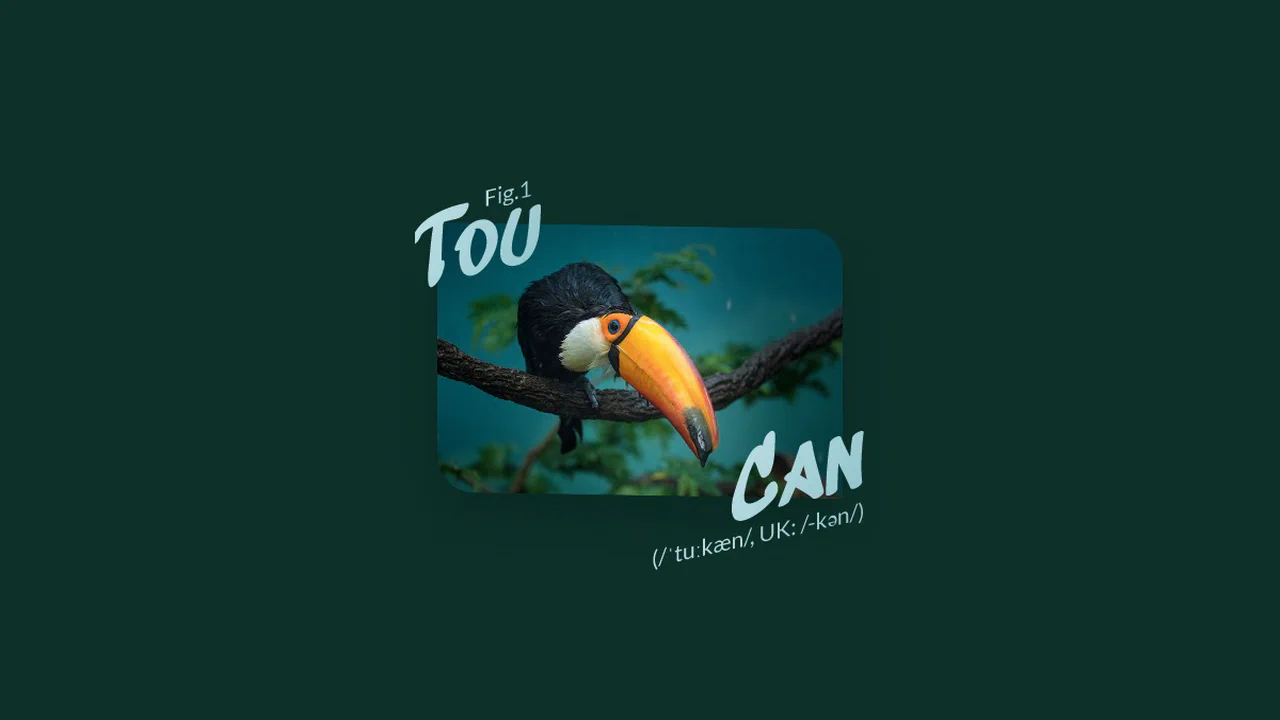 Playful CSS Figure & Figcaption