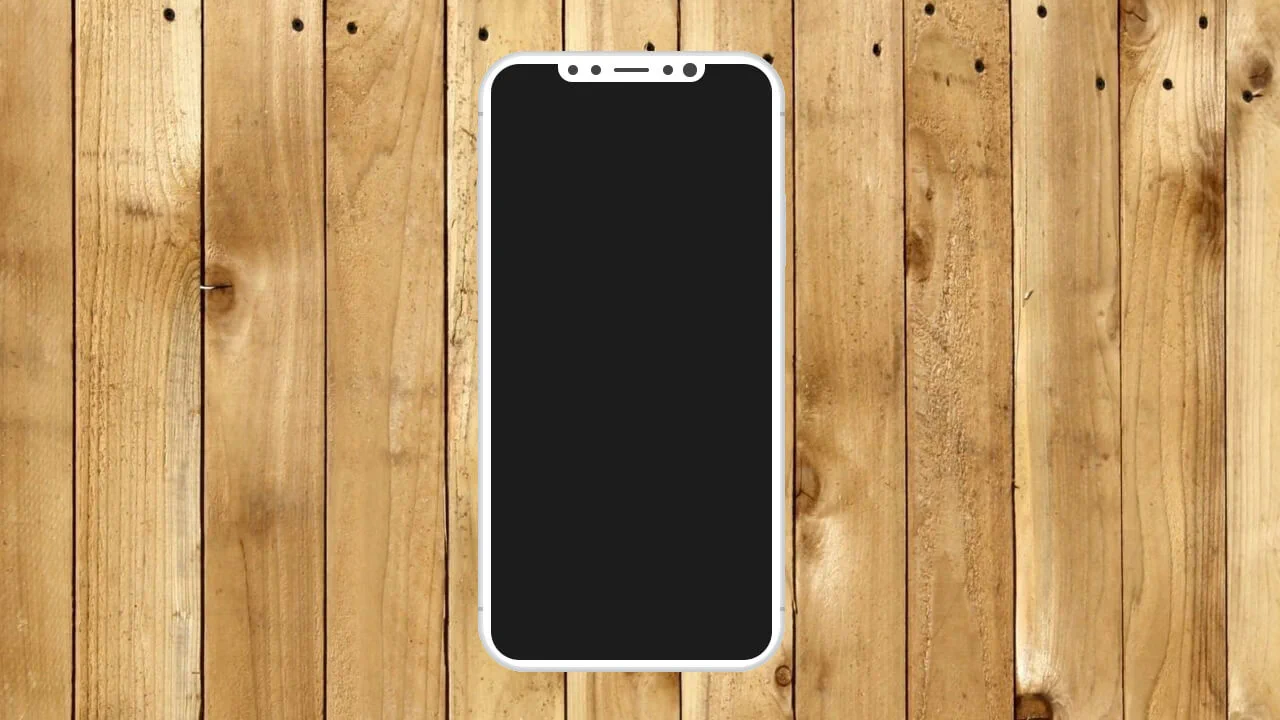 Pure CSS - iPhone X