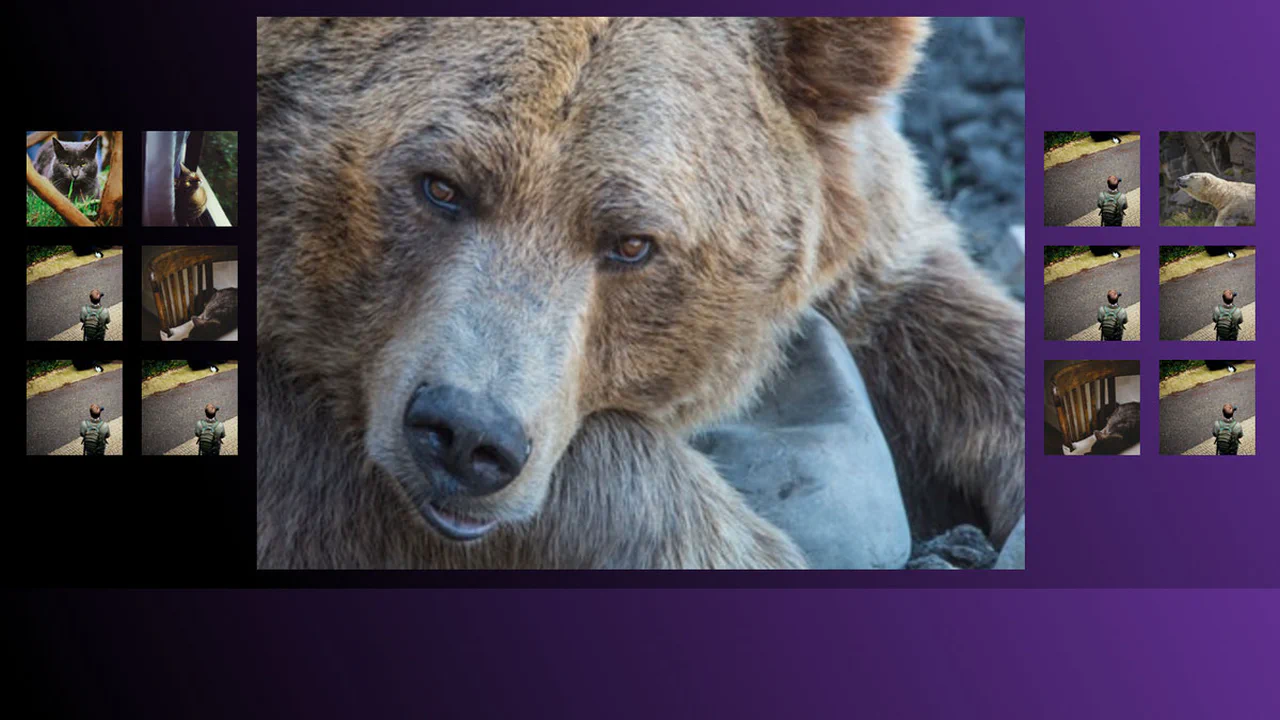 Responsive Pure CSS Image Gallery with CSS Grid