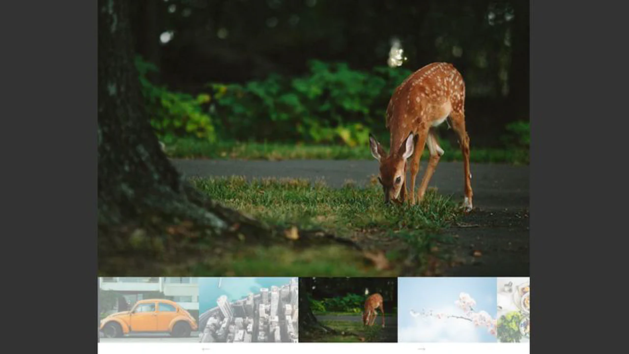 Scrolling & Looping Gallery