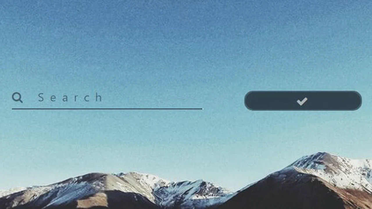 Search Field