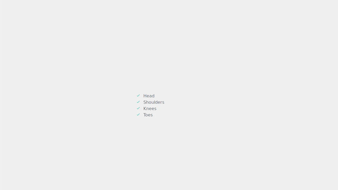 Simple CSS Check List