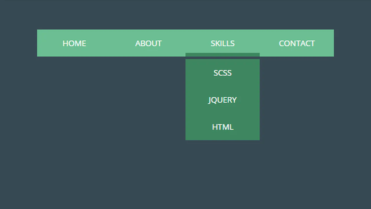 Simple Pure CSS Dropdown Menu