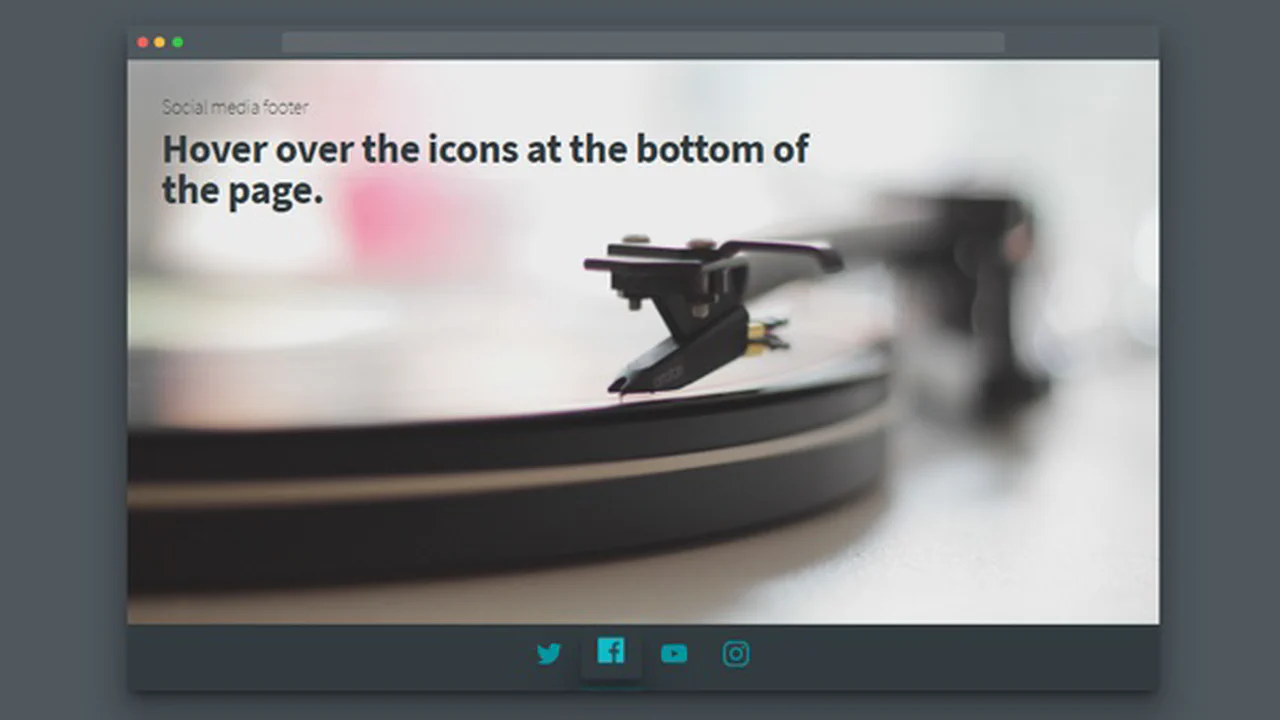 Social Media Footer