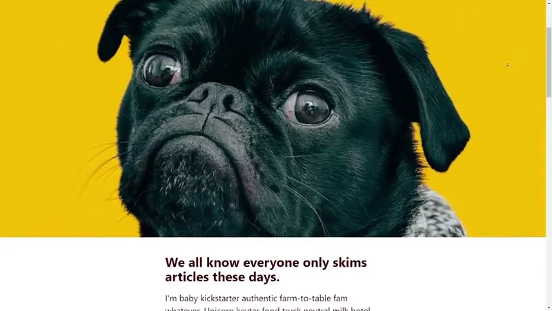CSS-Only Scroll-Driven Text Highlights