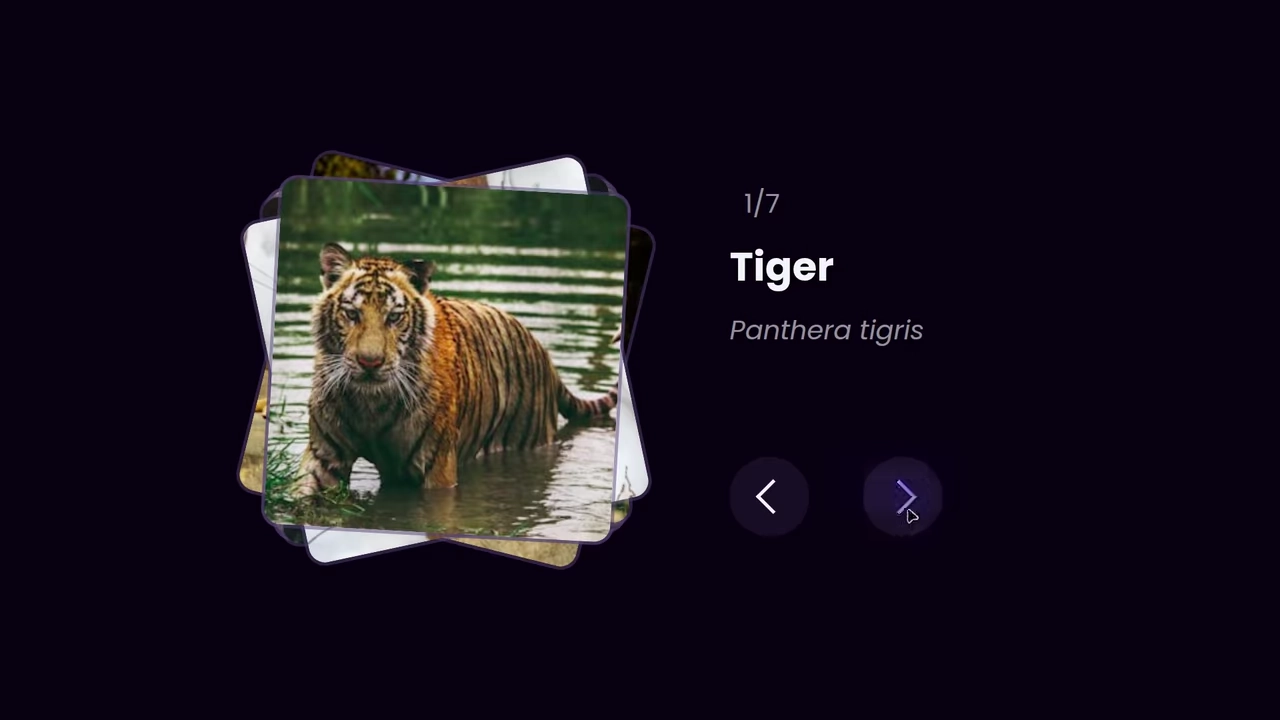 CSS Image Stack Cycle