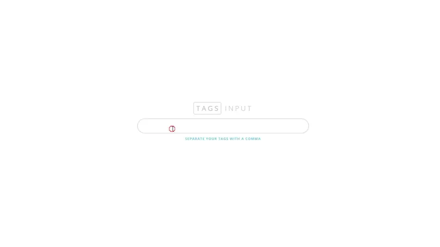 Tags Input